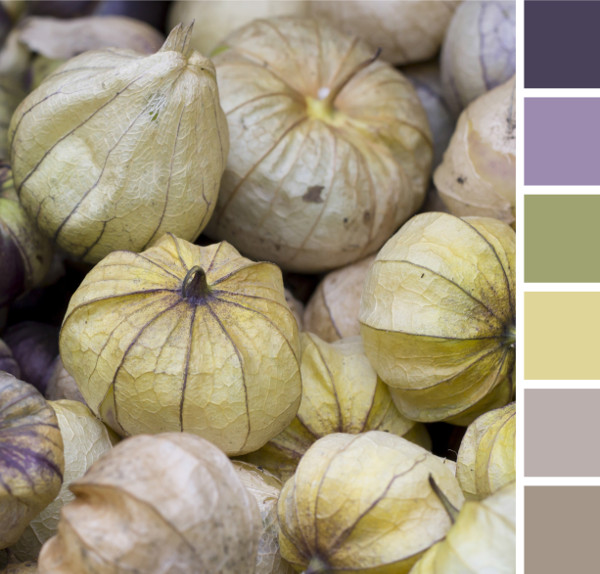 color fruits and vegetables with matching paint color swatches